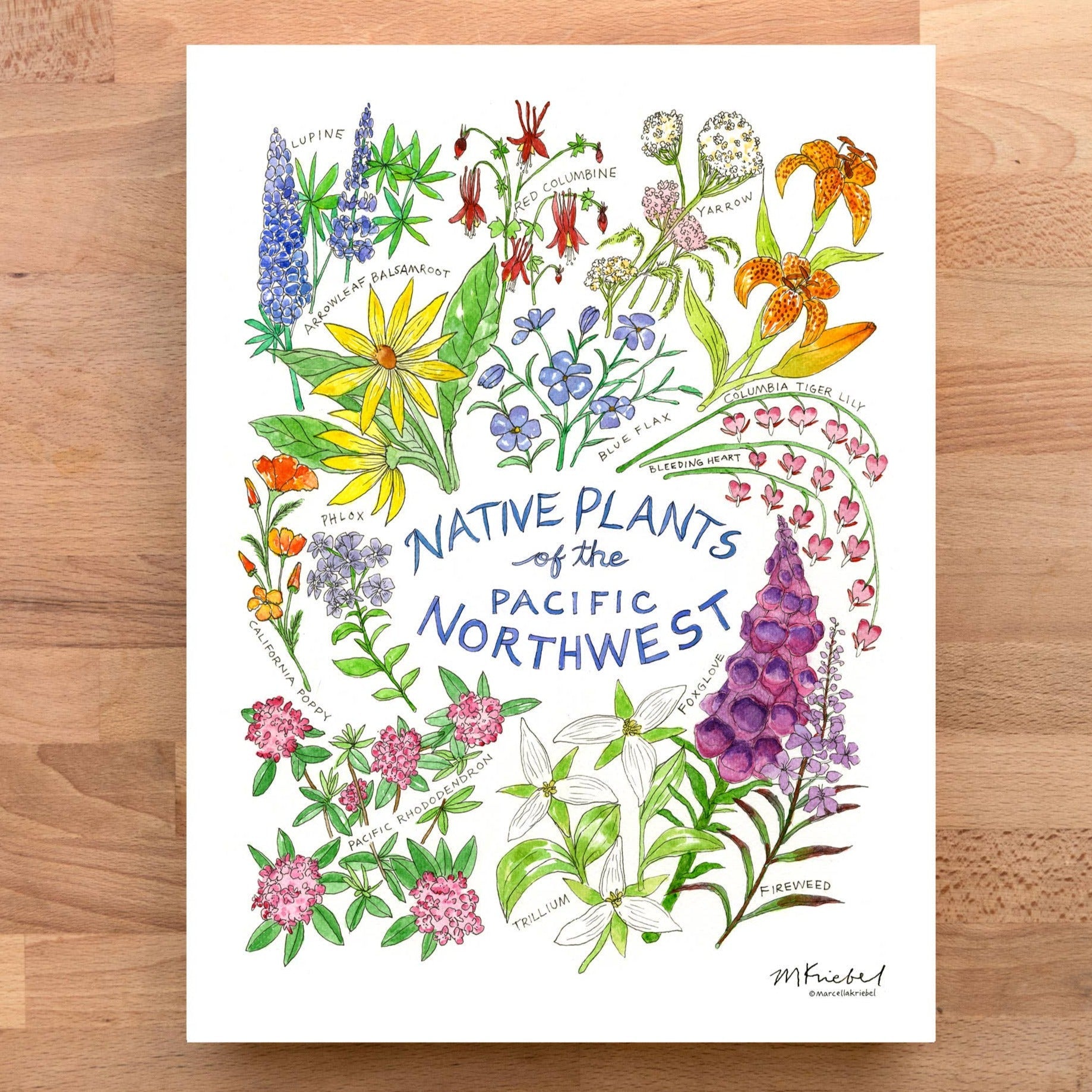 Native Plants of the Pacific Northwest - Gift & Gather