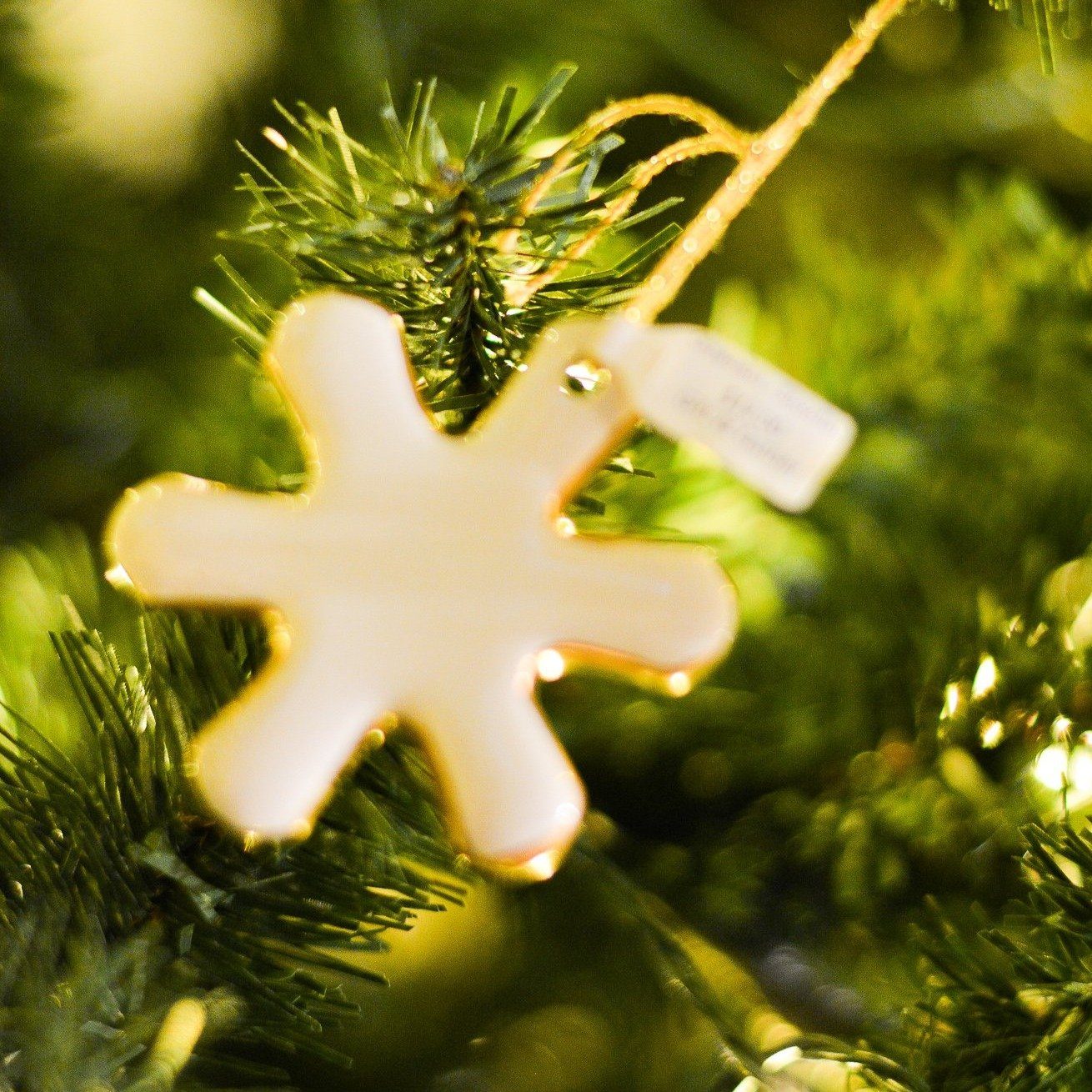 Ornament - Snowflake - Gift & Gather