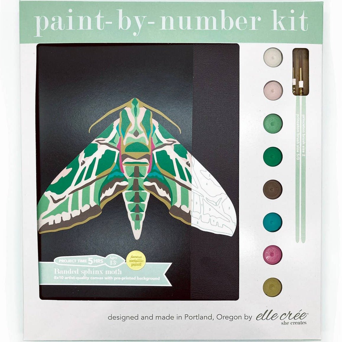 Banded Sphinx Moth  Paint-by-Number Kit for Adults — Elle Crée (she  creates)