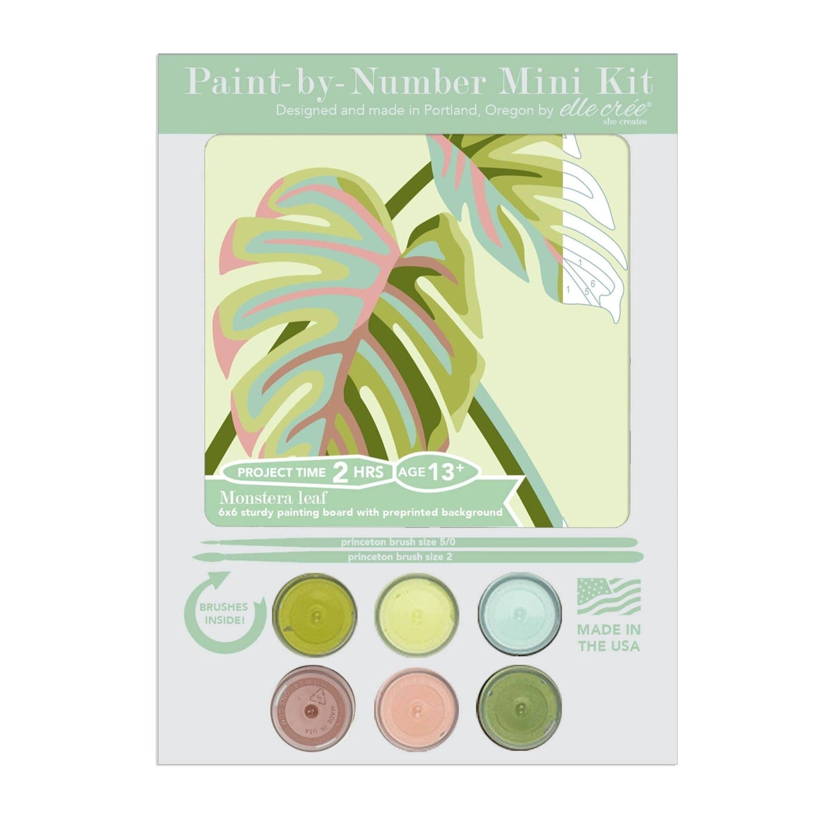 Paint-by-Number Kit - Fox with Chicory - Gift & Gather