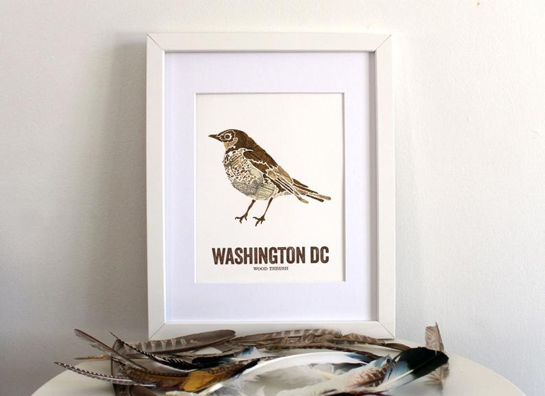 Print - DC Wood Thrush - Gift & Gather