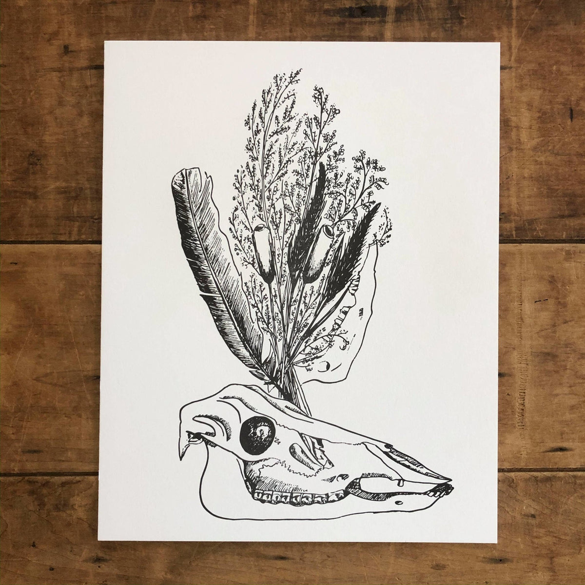 Print - Deer Skull - Gift & Gather