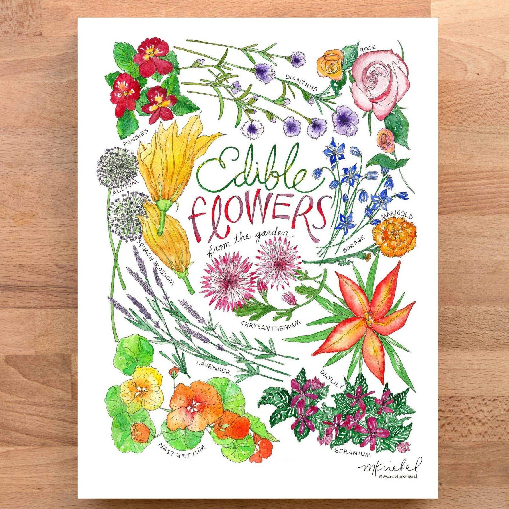 Print - Edible Flowers - Gift &amp; Gather