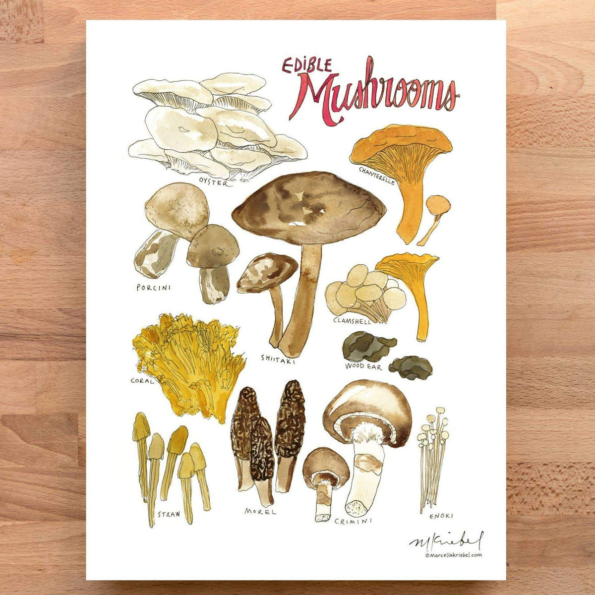 Print - Mushrooms - Gift & Gather