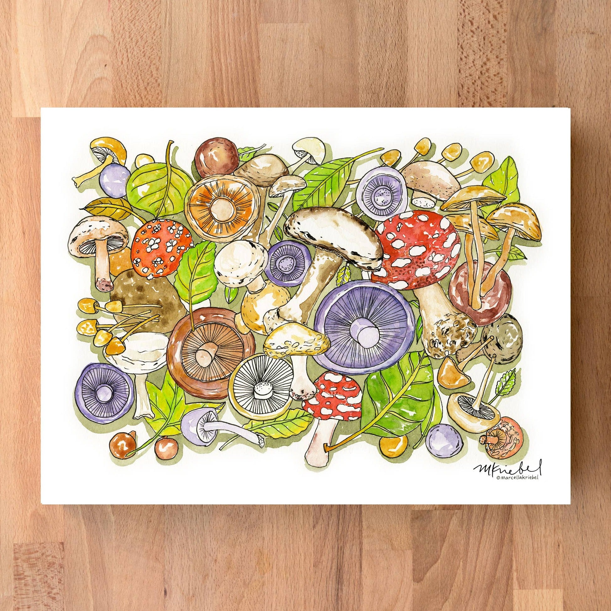 Print - Mushrooms Forest Floor - Gift & Gather