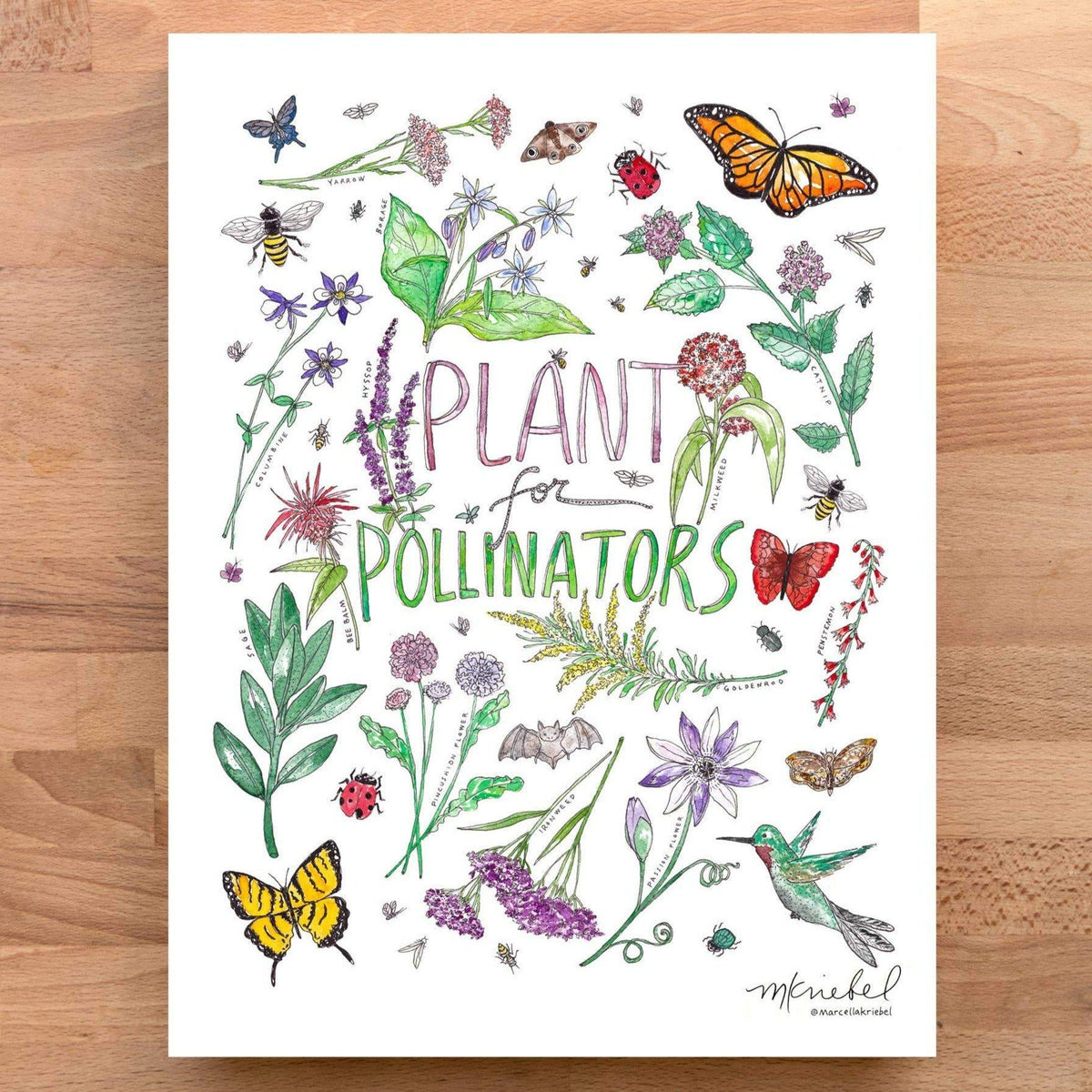 Print - Plants for Pollinators Garden - Gift & Gather