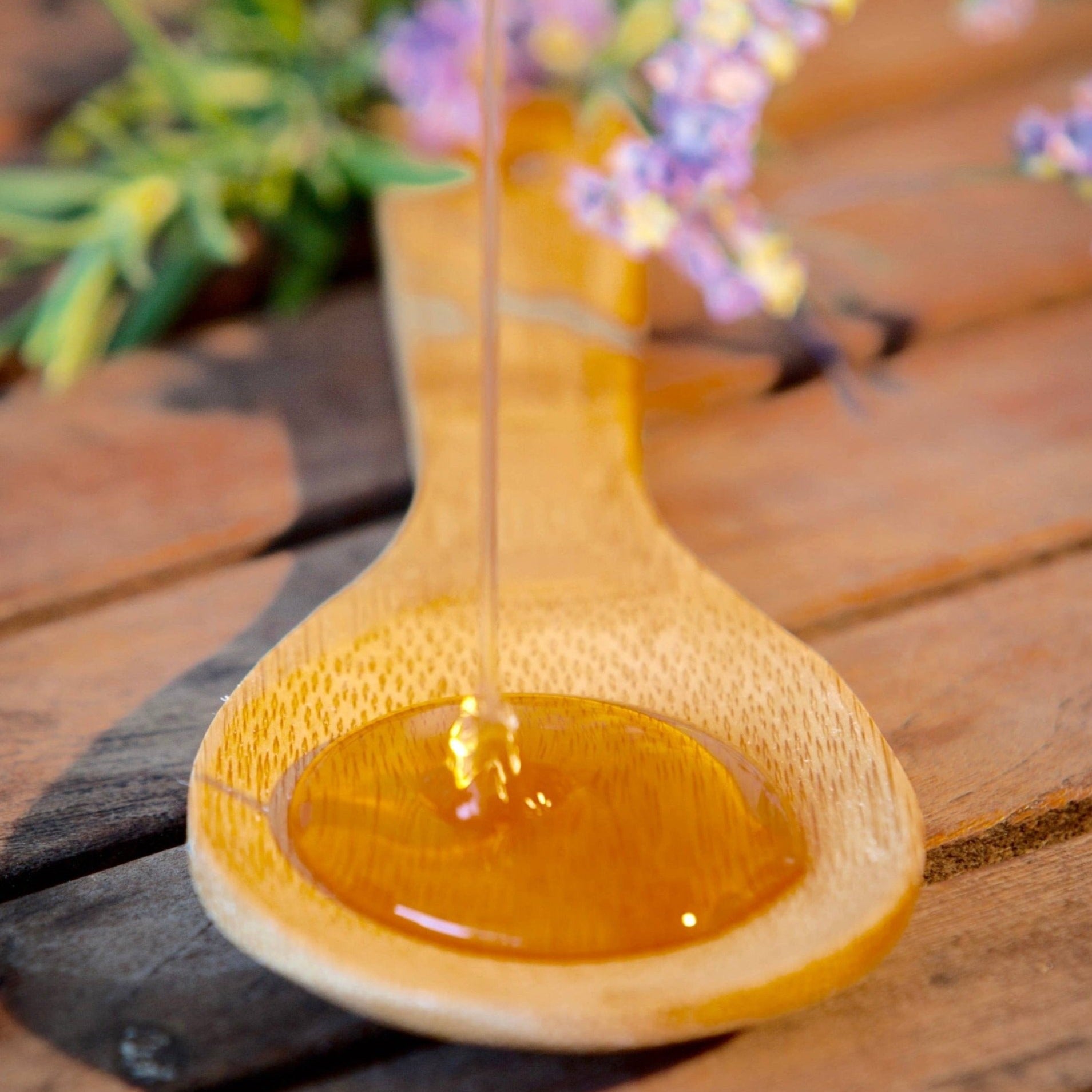 Sourwood Honey - Gift & Gather