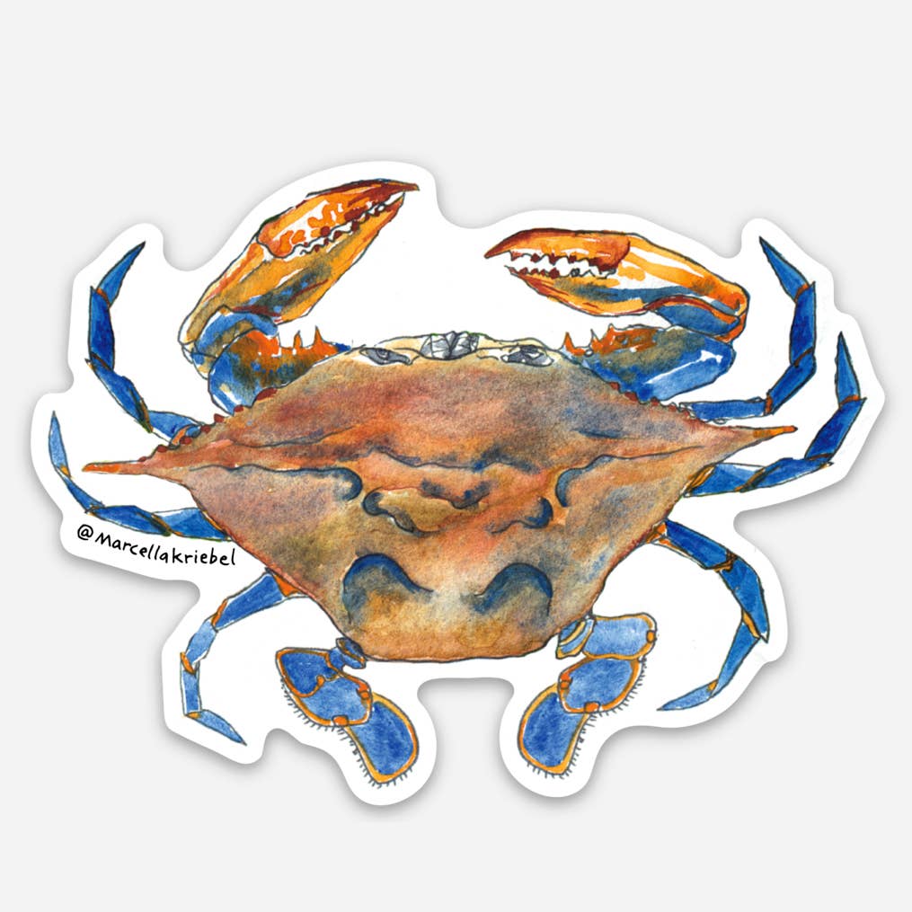 Sticker - Blue Crab - Gift & Gather