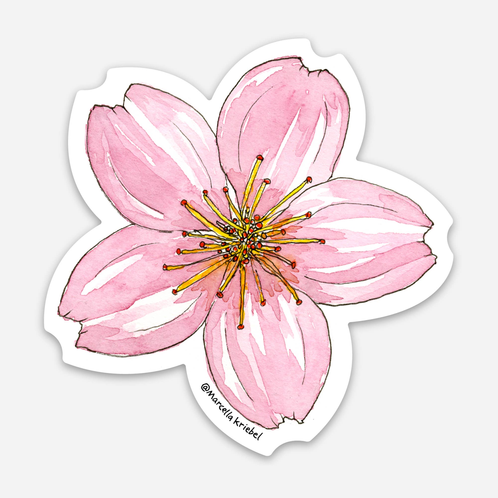 Cherry Blossom Flower Sticker