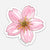 Sticker - Cherry Blossom Flower - Gift & Gather