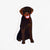 Sticker - Chocolate Lab - Gift & Gather