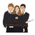 Sticker - Harry Potter Golden Trio - Gift & Gather