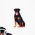 Sticker - Rottweiler - Gift & Gather