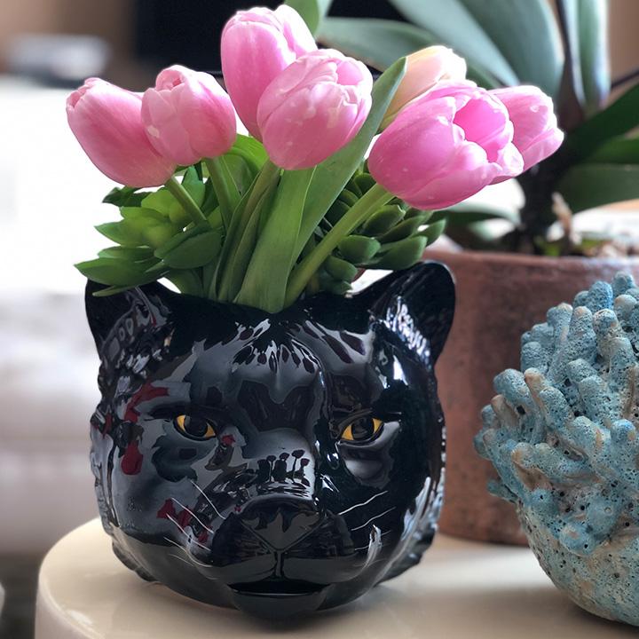Vase - Black Panther - Gift & Gather